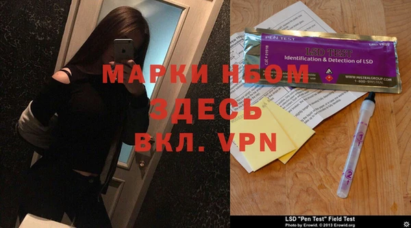 ГАЛЛЮЦИНОГЕННЫЕ ГРИБЫ Баксан