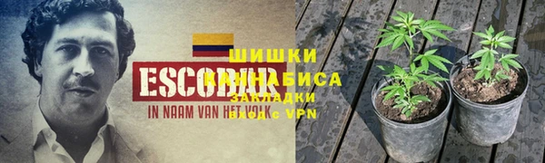 ГАЛЛЮЦИНОГЕННЫЕ ГРИБЫ Баксан
