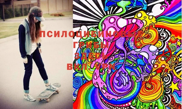 ГАЛЛЮЦИНОГЕННЫЕ ГРИБЫ Баксан