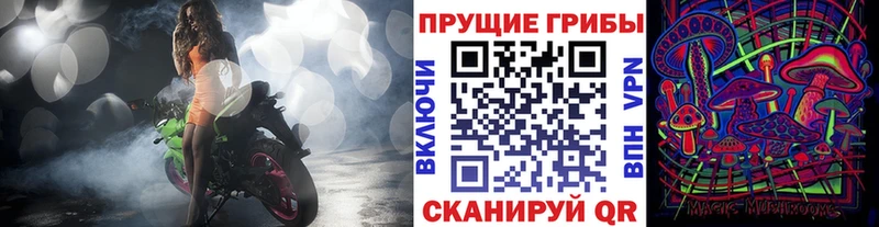 как найти закладки hydra сайт Галлюциногенные грибы Cubensis Нязепетровск
